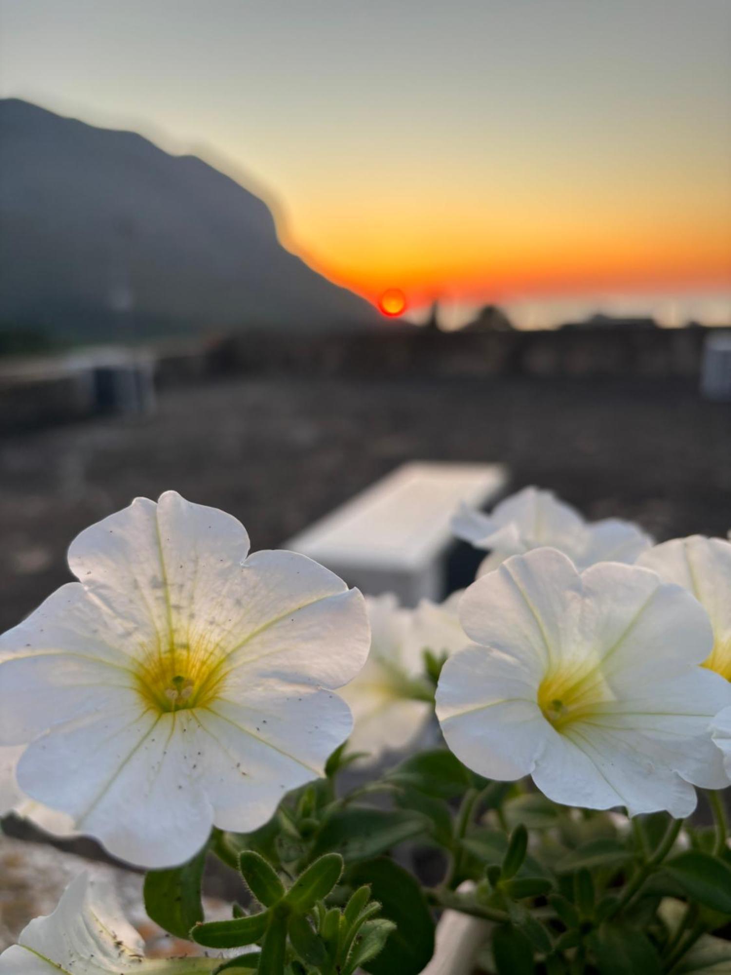 Bed And Breakfast Turi Castelluzzo Buitenkant foto