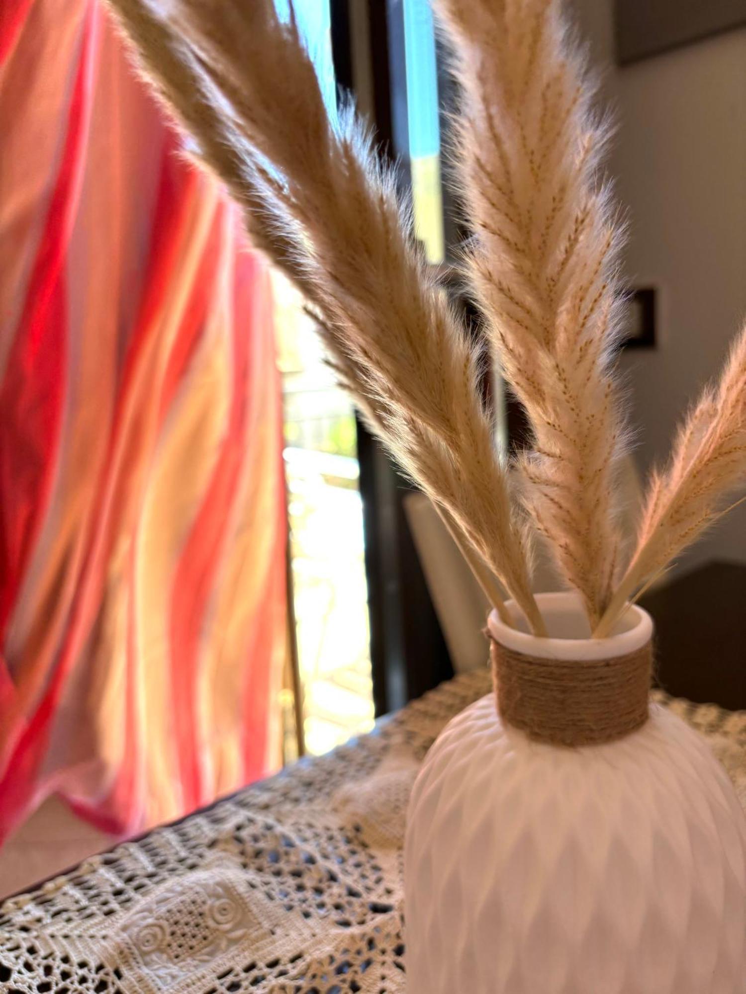 Bed And Breakfast Turi Castelluzzo Buitenkant foto